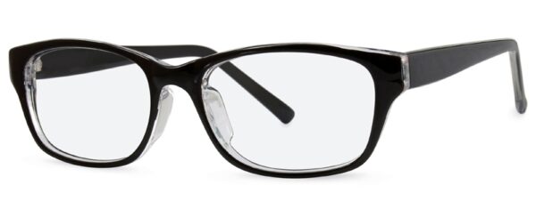 ZP4200 Glasses By Zips