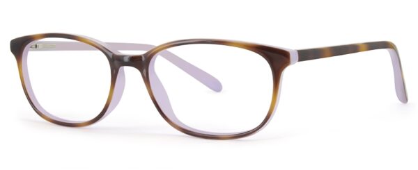 ZP4041 Glasses By ZIPS