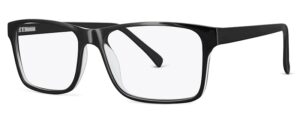 ZP4061 Glasses By ZIPS