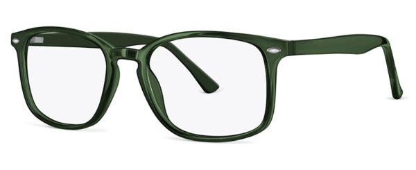 ZP4063 Glasses By ZIPS