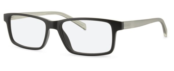ZP4015 Glasses By