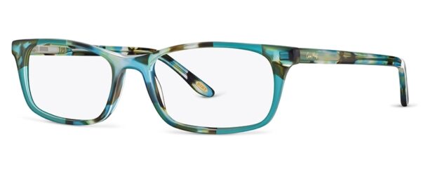 CM9129 Glasses By
