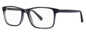 ZP4099 Glasses By