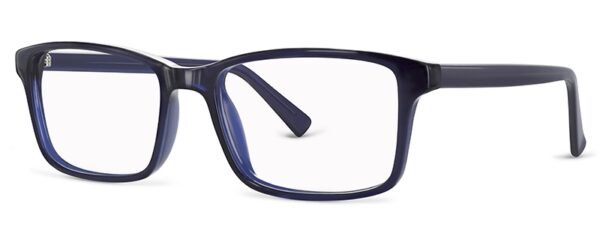 ZP4101 Glasses By