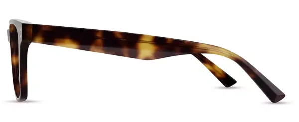 ARH 018-Extraordinary every Day. Tortoiseshell. - Image 2